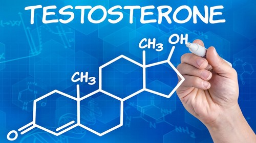 Норма тестостерона в менопаузе 26